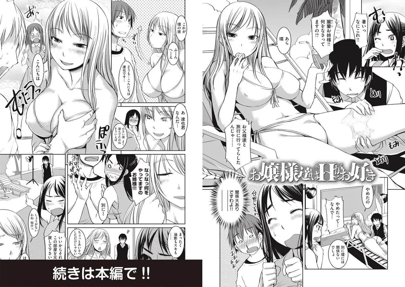 お嬢様はHがお好き【分冊+α】 10