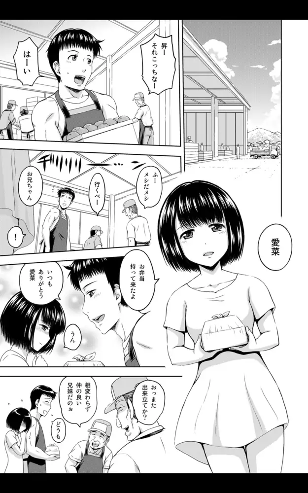 続・お兄ちゃん寂しいの 妹との幸せな生活に友達姉妹がやって来て… 全話版 6