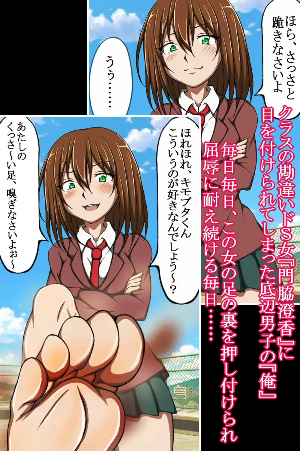 ハイグレ洗脳で大逆襲!!~俺をいじめたドS馬鹿女をハイグレ洗脳でシモベ化してド変態がに股ハイレグ女の見世物にしちゃうCG集~ 2