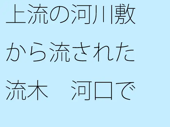 上流の河川敷から流された流木 河口でとある旅人に拾われて 1