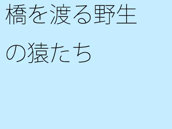 橋を渡る野生の猿たち 1