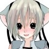 saibashi CG collection [Venezia]