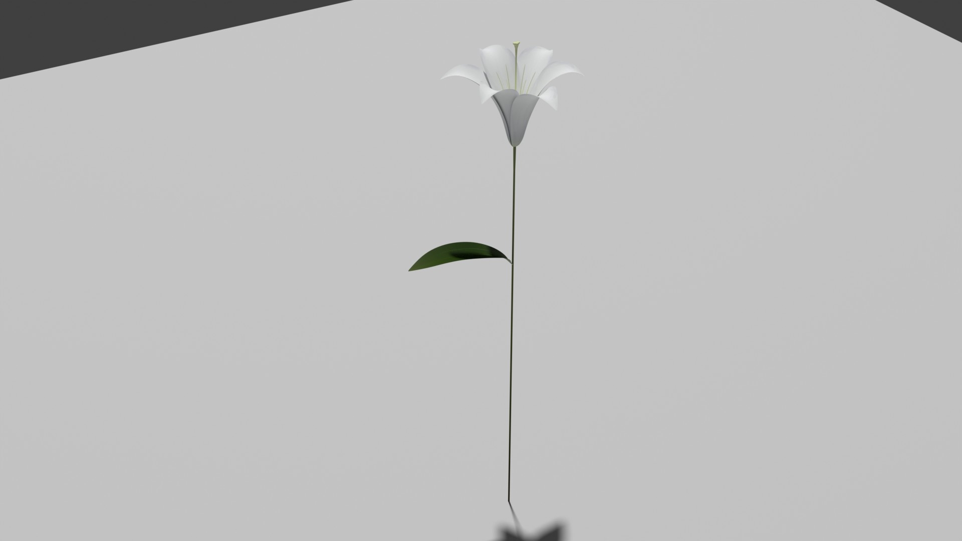 ささゆり