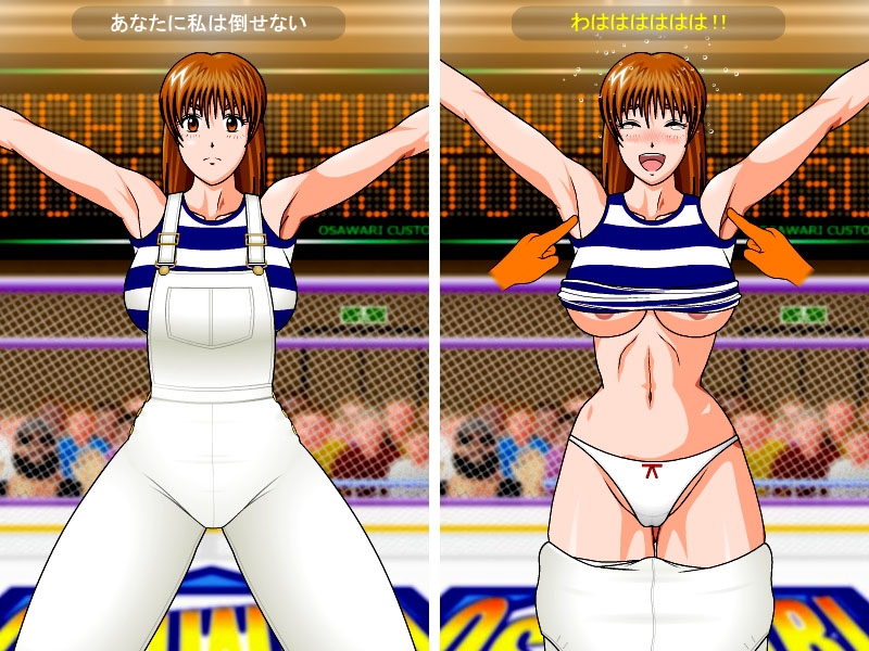 �������Flash Hardcore �� �� ���� V2.10b[Sawatex]
