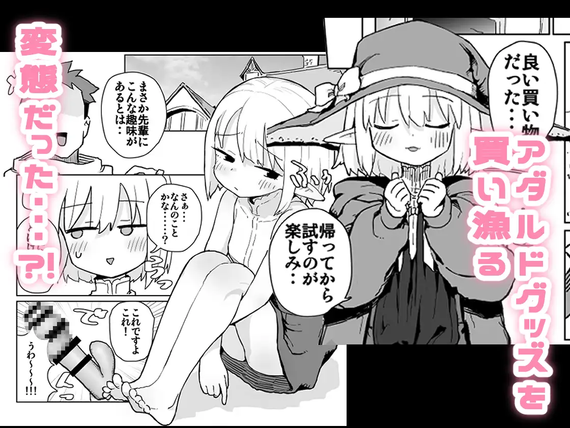 同じパーティーのクール系エルフが裏では大人の玩具で遊ぶ変態だったのでセックスすることにしたの画像2
