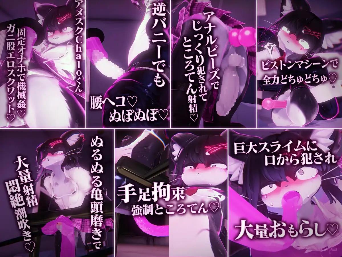 ケモショタChaloくん逆バニー&アメスク搾精エロアニメ7本セットの画像1