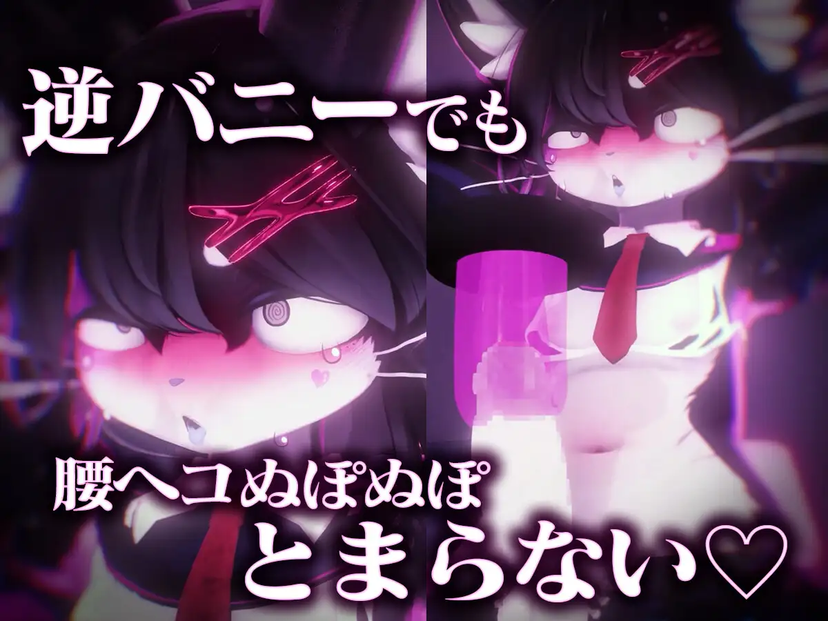 ケモショタChaloくん逆バニー&アメスク搾精エロアニメ7本セットの画像3