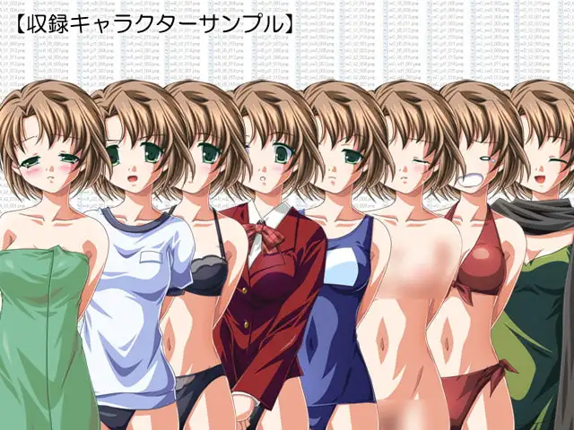 立ち絵素材集 Vol.3正統派ヒロイン編成人向 2
