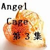 Angel Cage 第3集 [神の眠る星]