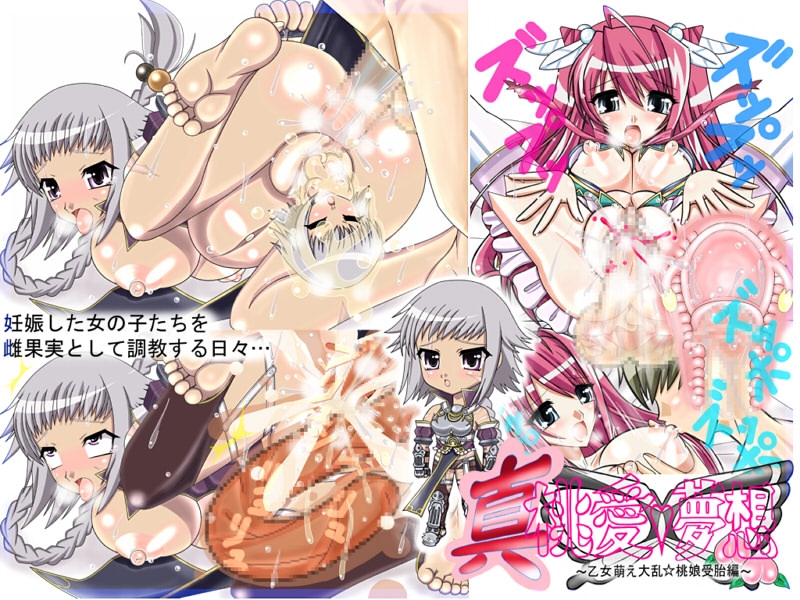 真・桃愛†夢想～乙女萌え大乱☆桃娘受胎編～[ぱそーん堂]