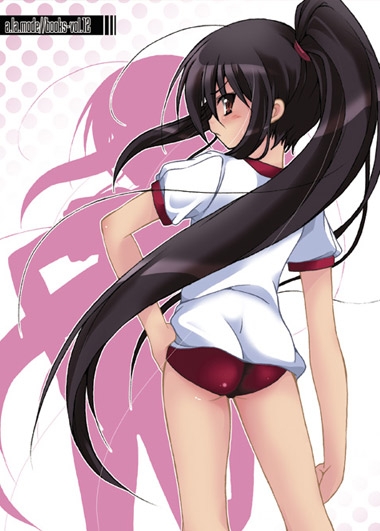 Shana¡¿e¡¿eStyle SSS
