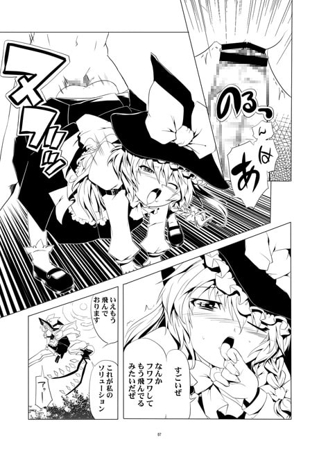 職業:魔理沙の箒