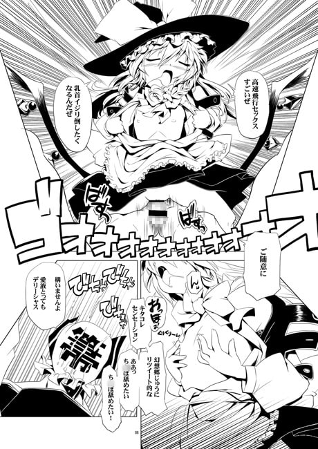 職業:魔理沙の箒
