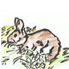 2011年ウサギの水彩画カレンダー [ヒコウキの窓aviation wing]