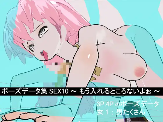 ポーズデーター集 SEX10 ~ もう入れるところないよぉ ~ 1