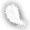 White wing Leads to the Truth [LunaProject]