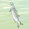 Choukoki - Fishing Stories [kojika]