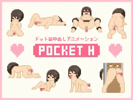 Pocket H 1