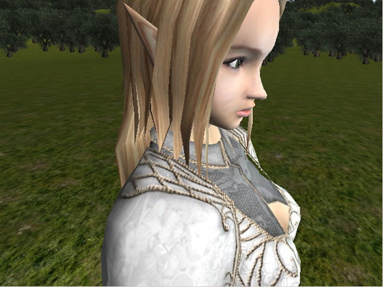 RJ127356 img smp2 RJ127356[140104][ナイトギミック]珠玉の女エルフさん