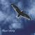【ボーカル曲音楽素材】Symphonical Rain Vocal Material「BLUE WING」 【ボーカル曲音楽素材】Symphonical Rain Vocal Material「BLUE WING」