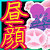 昼顔の観察 昼顔の観察