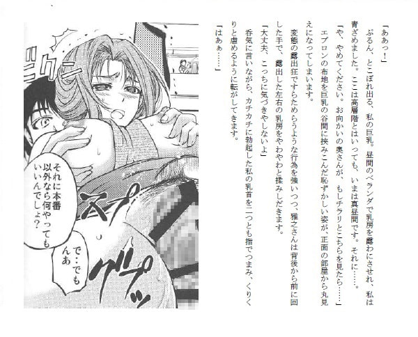 RJ170264 img smp1 RJ170264 [160115]【ノベライズ版】牝妻肉便器 [SEI's factory]