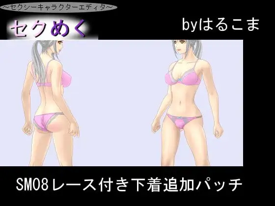 SM08レース付き下着追加パッチ 1