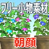 フリー小物素材/朝顔 フリー小物素材/朝顔