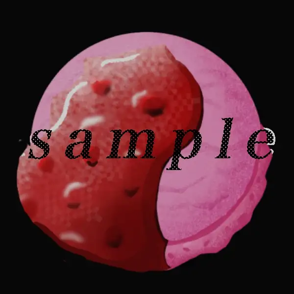 食べ物背景素材-アイスクリーム素材- 7