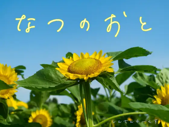 夏の環境音素材集『なつのおと』 1