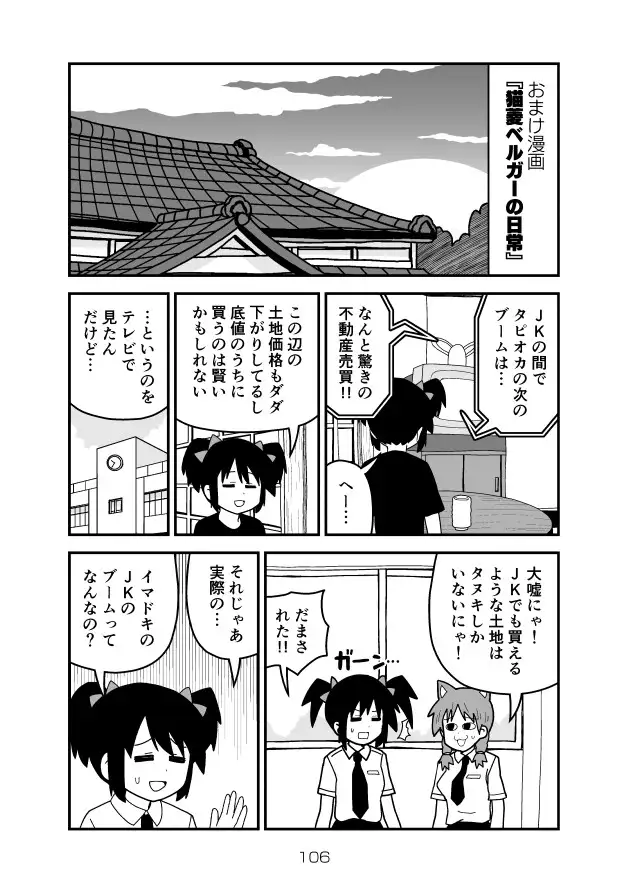 中年男子の日常 猫の巻 11