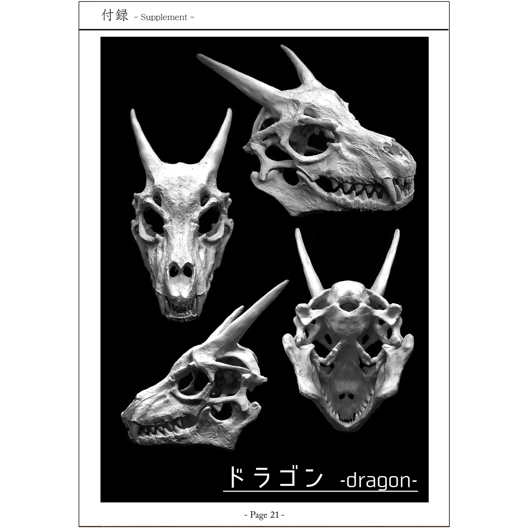 異世界骸骨図鑑 5