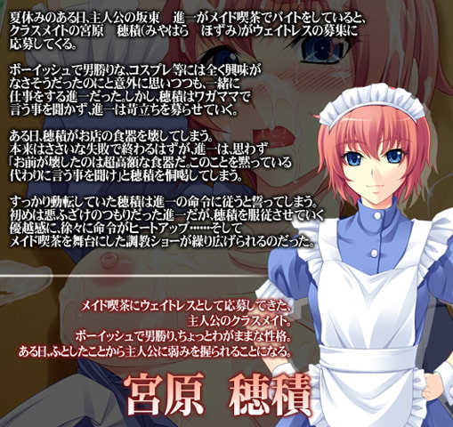 VJ009848 img smpa2 VJ009848 [160122]アトリエさくらDARKNESSベストセレクション コスプレ征服編 [アトリエさくら]