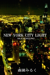 NEW YORK CITY LIGHT [Milkyway]