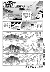 父ちゃんのLURE-FISHING講座 レッスン62 [辰巳出版]