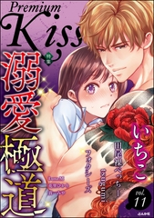 Premium Kiss　Vol.11 [ぶんか社]