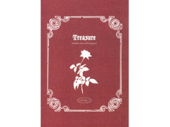 Tresure(特別版) [平成出戻り娘(仮)]