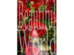 Beautiful World [Re-Birth]