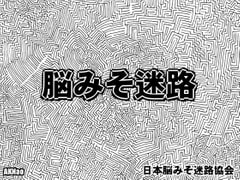 Brain Mazes [Nihon Brain Maze Association]