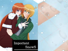 Important SnowS [MirrorWorld]