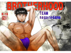 BROTHERHOOD [TEAM Nagaredama]