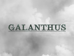 GALANTHUS [OCTET]