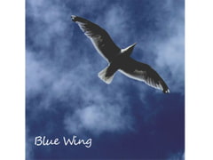 【ボーカル曲音楽素材】Symphonical Rain Vocal Material「BLUE WING」 [AZU Soundworks]