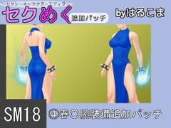 Seku Meku DLC: SM18(4) Chun-L* Arm Items [HaruKoma]