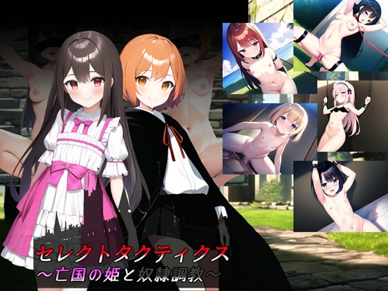 セレクトタクティクス ～亡国の姫と奴隷調教～ RJ01110795