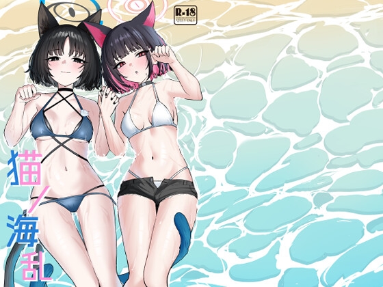 猫ノ海乱