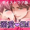 【ボイスドラマ版】ドSスイッチ [ぷれい☆る～む]