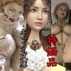 アナ・みどりのボックスセット 特価版 [Kink Bunko]