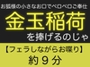 お狐様の小さなお口でペロペロご奉仕〜金玉稲荷を捧げるのじゃ〜 [飲めない水]
