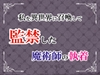 私を異世界に召喚して監禁した魔術師の執着 [宵凪]